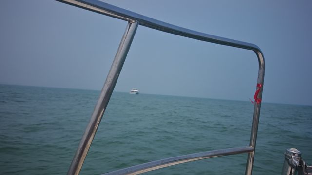 IMG_20260709_132157.jpg