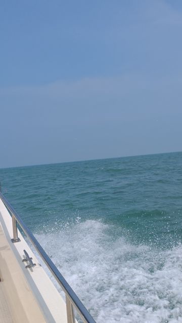 IMG_20260709_132411.jpg