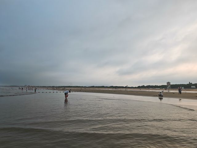 IMG_20260710_181017.jpg