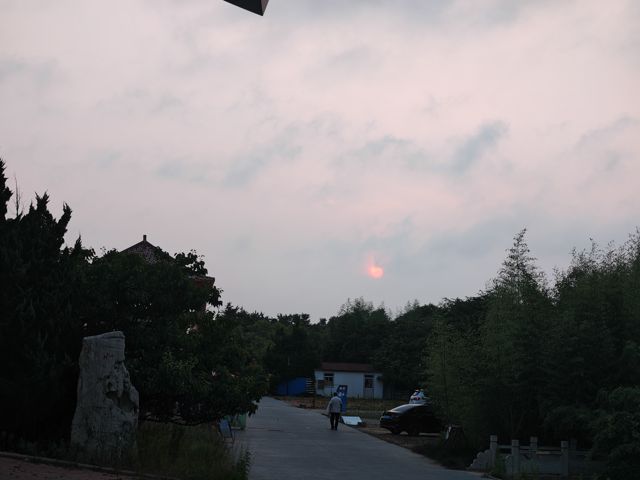 IMG_20260710_185119.jpg