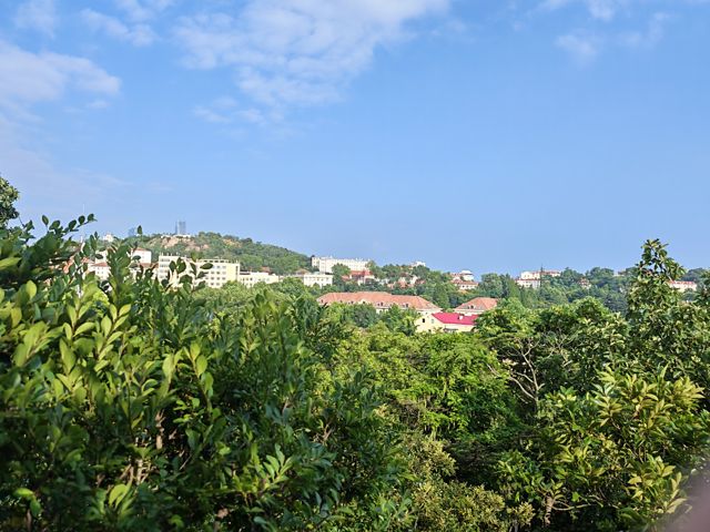 IMG_20260714_163607.jpg