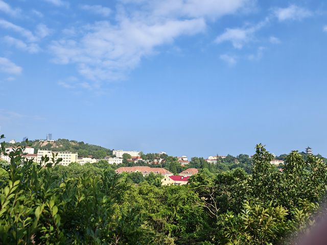 IMG_20260714_163610.jpg