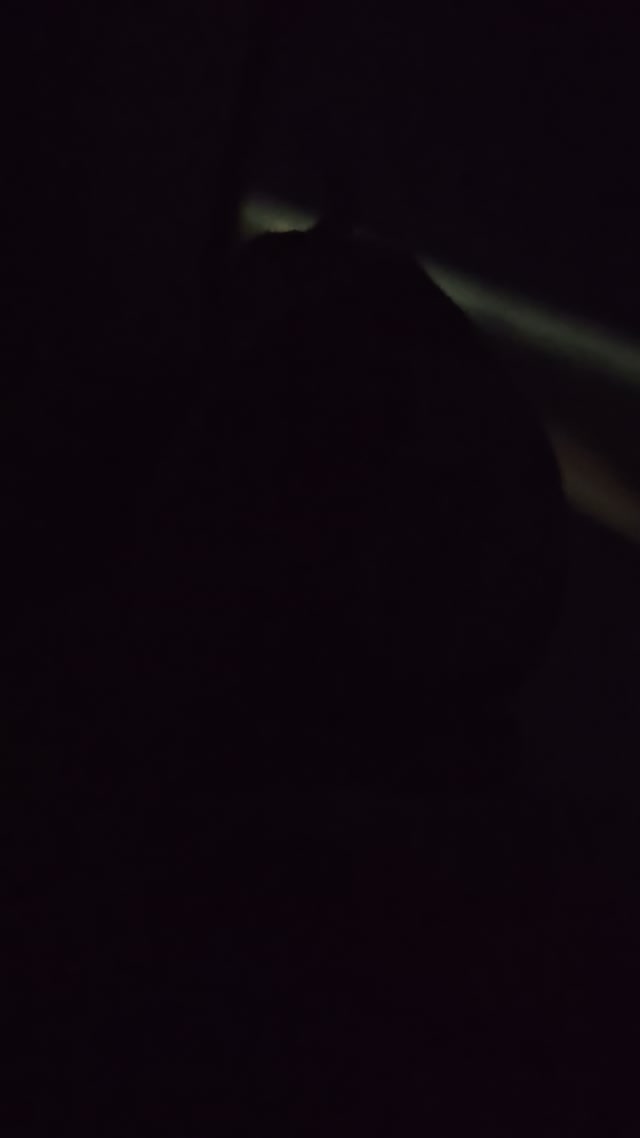 VID_20251123_231620.mp4